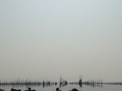 -小皓村
