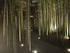 -穹六人间 people 6(岳阳路店)