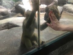 -福州罗源湾海洋世界旅游区