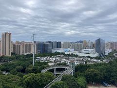 -仙岳公园