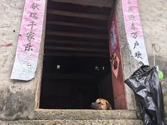 -高荡千年布依古寨旅游景区