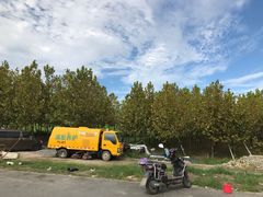 -南汇嘴观海公园