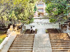 景点-武汉大学-樱园