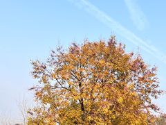 -南京市江宁方山