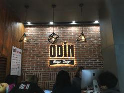 -ODIN 奥丁形象设计 