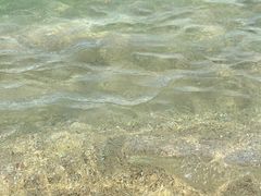 -龟龄岛