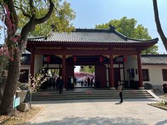 -南汇桃花村