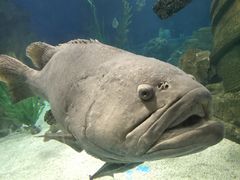 -锦艺城海洋馆