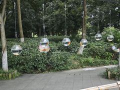 -天目湖山水园