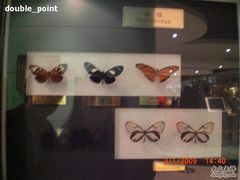 -上海昆虫博物馆