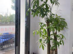 -苗方清颜专业祛痘·皮肤管理