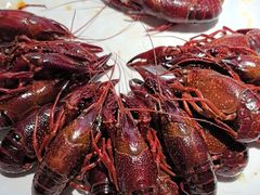 -京悦南门涮羊肉·羊蝎子火锅(田林路店)