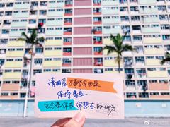 -彩虹村