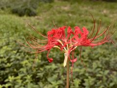 -白塘生态植物园