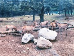 -西安秦岭野生动物园