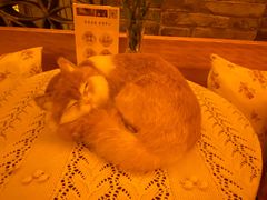 -叶叶菩提·晋福宫