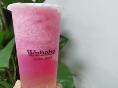 -娃哈哈·奶茶(武林店)