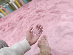 -苏州太湖西山岛开心农场