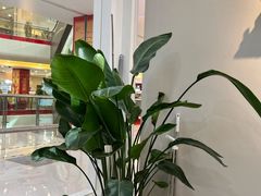 -莲花国际广场