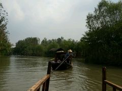 -溱湖国家湿地公园