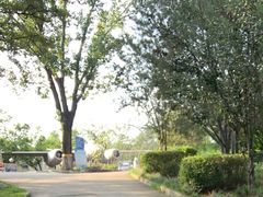 -云岗森林公园