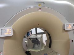 -美联众合动物医院·24h转诊中心