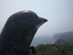 -燕窝岭