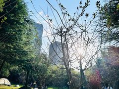 -新虹桥中心花园