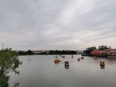 -上海长兴岛郊野公园