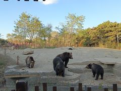 -沈阳森林动物园