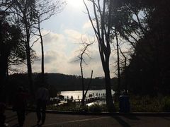 -东莞植物园