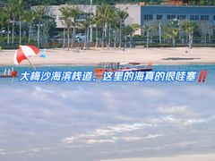 -大梅沙海滨公园