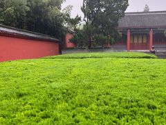-洛阳白马寺