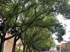 -上海交通大学(闵行校区)