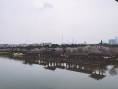 -海珠湖公园