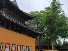 -宝岩生态观光园