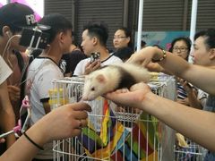 -汪说喵讲宠物乐园宠物酒店(红星美凯龙店)