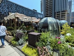 -龟兹KUCINA·新疆菜(前滩L+PLAZA店)