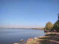 -丁香湖公园