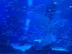 -海合安成都极地海洋公园