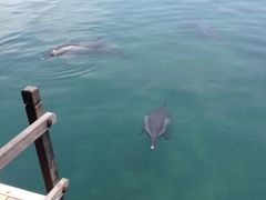 iphone_upload_pic-亚龙湾海底世界