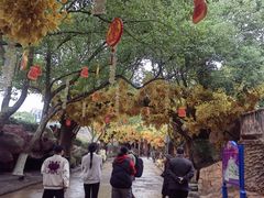 -横店影视城梦幻谷园区