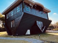 -金山农民画村-枫泾波兰倒置屋