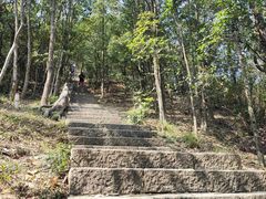 -梧桐山风景名胜区