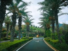 -宴悦海鲜餐厅·游水海鲜·牛排(亚龙湾瑞吉店)