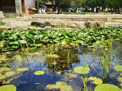 -承德避暑山庄景区