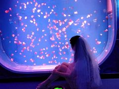 -芜湖新华联大白鲸海洋公园