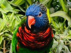 -南宫五洲植物乐园