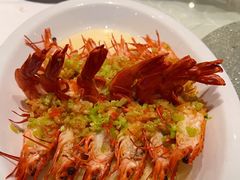 蒜蓉开边九节虾-金鹰潮汕鱼仔店(金鹰大厦店)