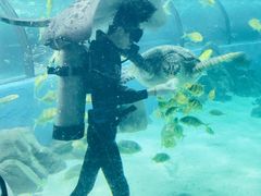 -苏州海洋馆